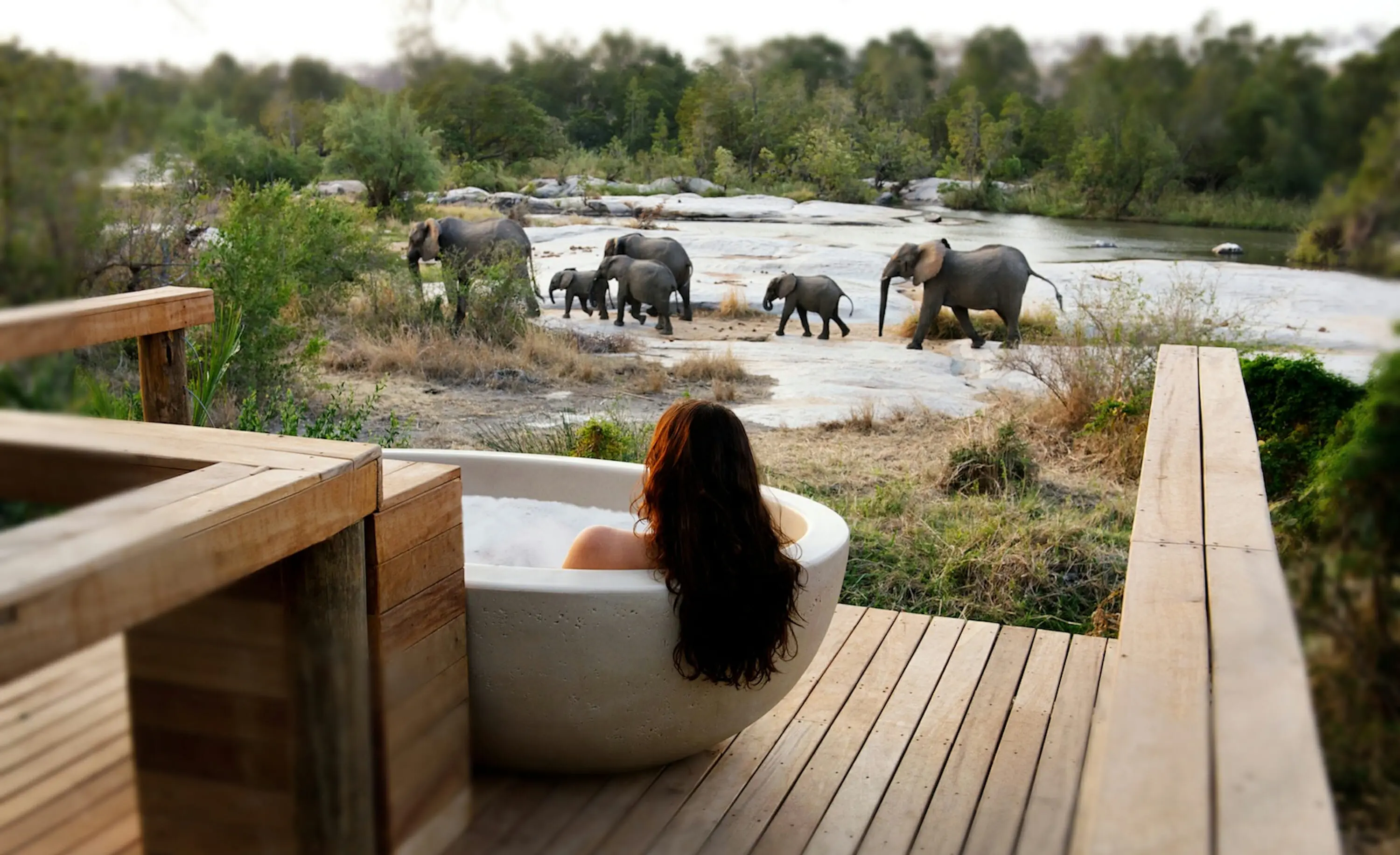 Honeymoon in South Africa