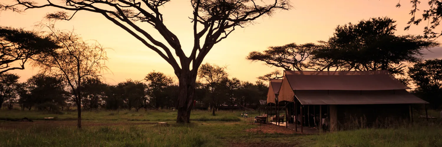 Read more about the article Dining Under the Stars: Your Ultimate Guide to a Bush Dinner in the Heart of the Serengeti