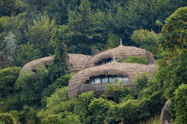 Wildly Refined – Award-Winning Eco Lodges to Bookmark for your next Journey