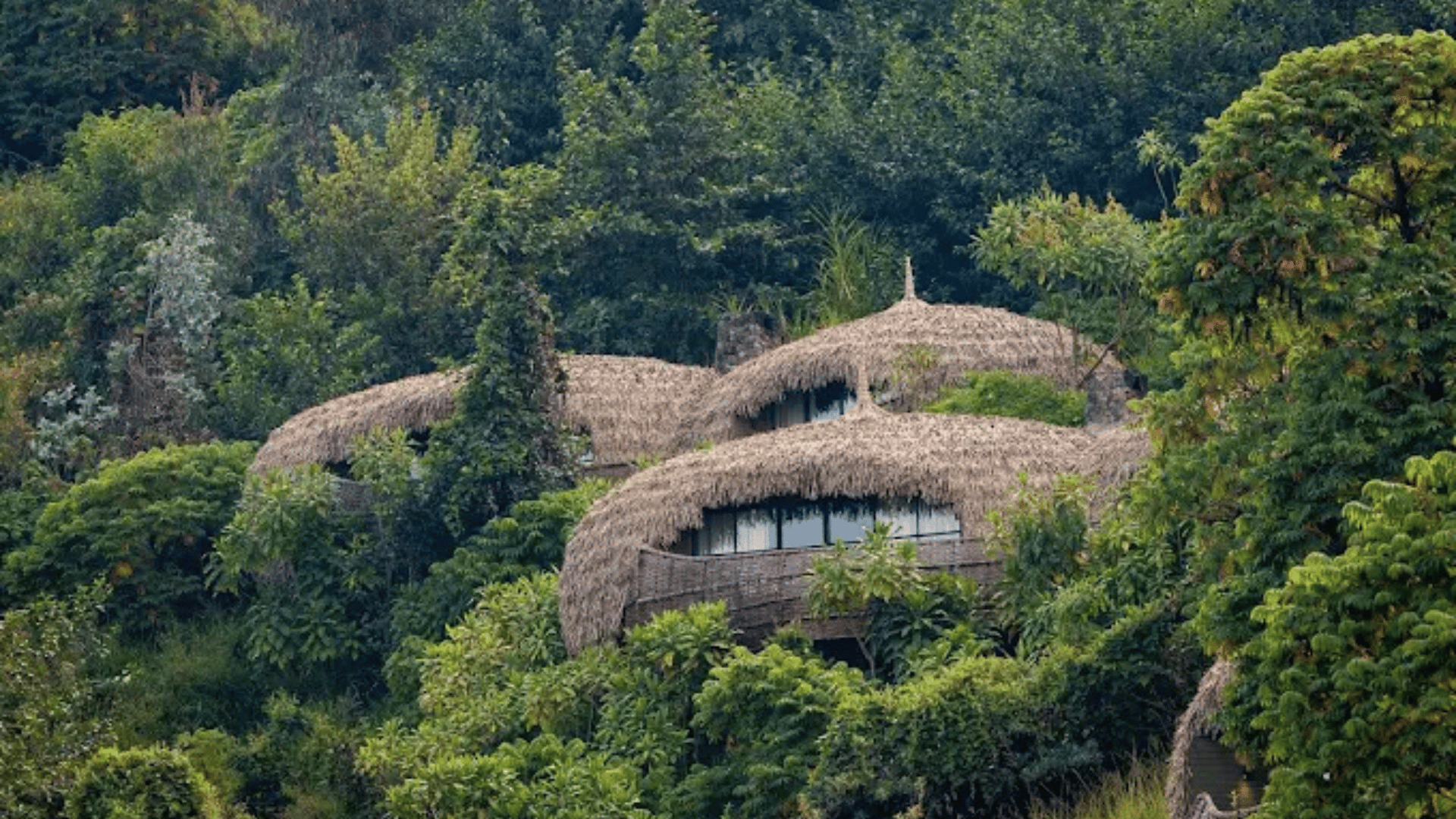 Read more about the article Wildly Refined – Award-Winning Eco Lodges to Bookmark for your next Journey