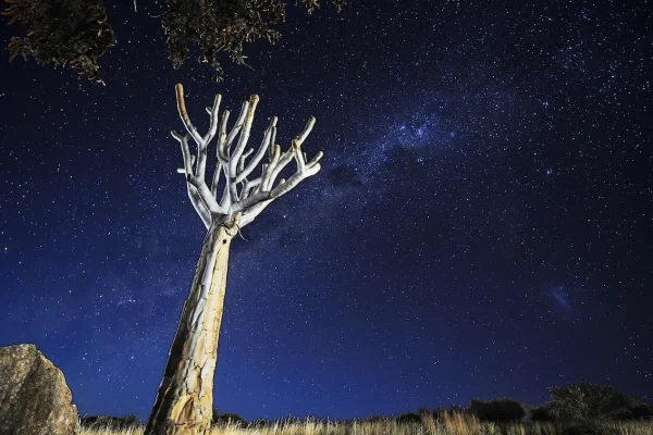 Stargazing in Namibia’s Dark Skies Reserve: When the Heavens Put on a Show