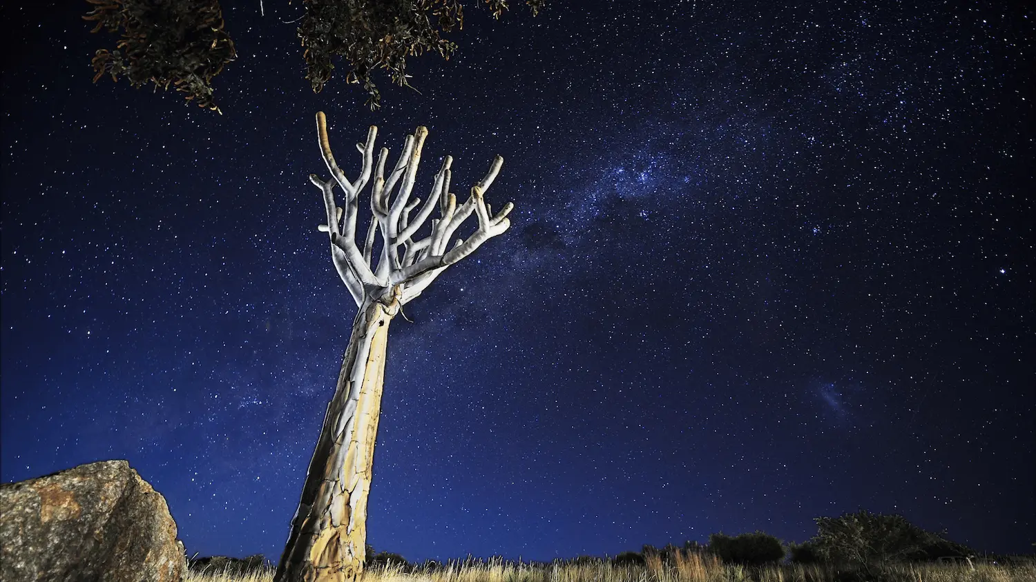 Read more about the article Stargazing in Namibia’s Dark Skies Reserve: When the Heavens Put on a Show