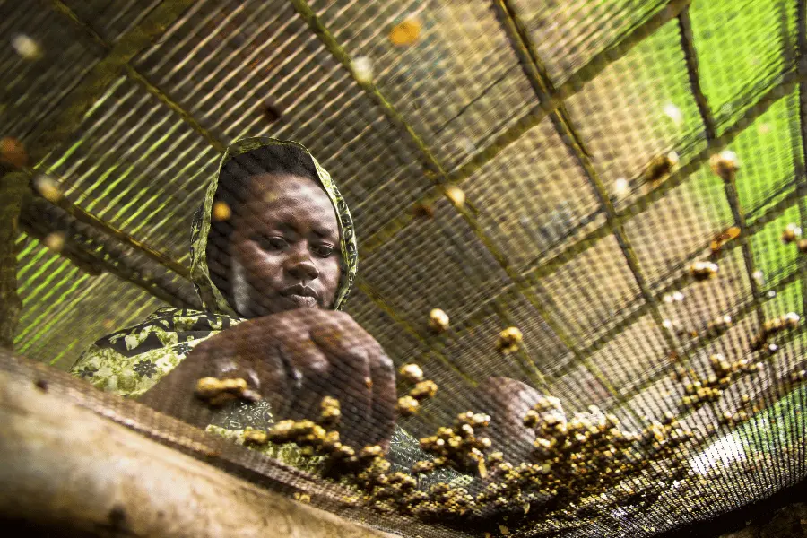 trips in Rwanda