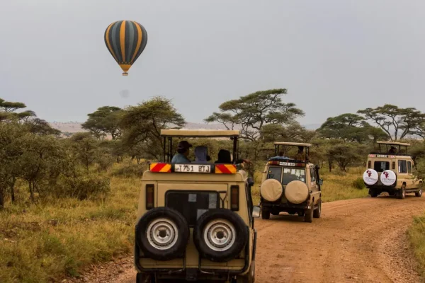 Tanzania from Above: A Team Celebration in the Skies