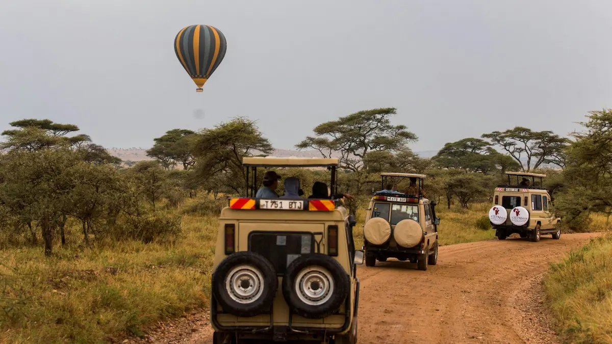 Read more about the article Tanzania from Above: A Team Celebration in the Skies
