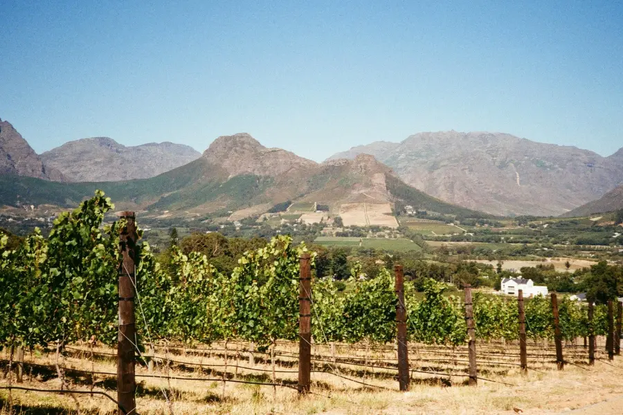 view of Franschhoek