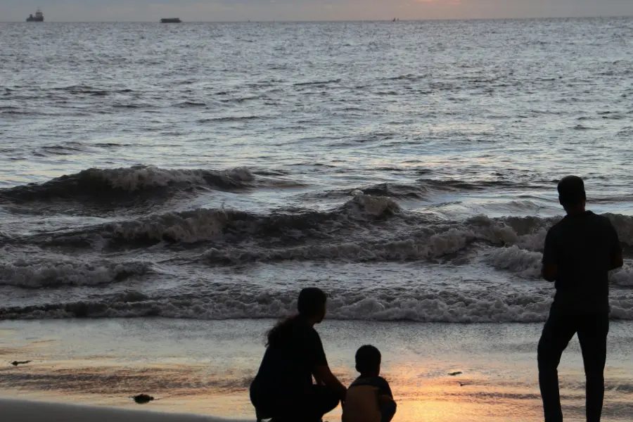 A family enjoying the view of the beach