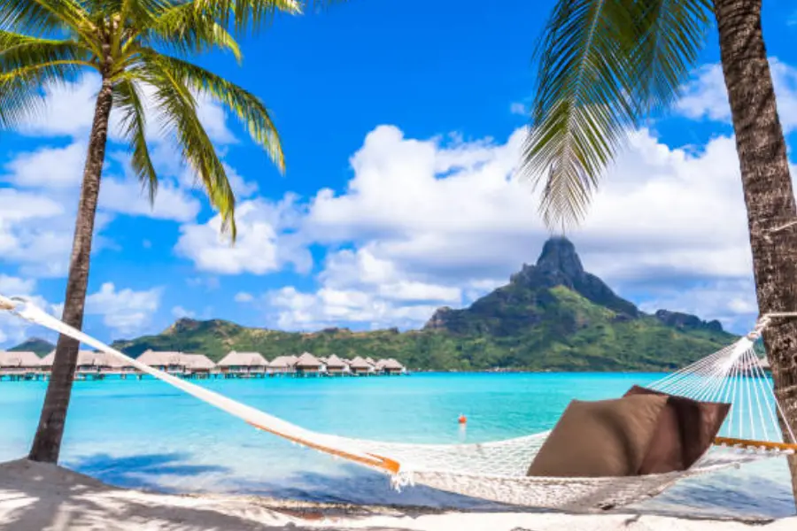 white rope hammock tied to two trees on a beach

