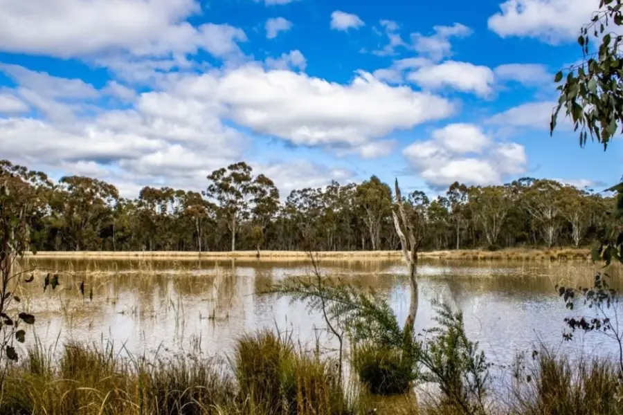 View of bushlands in Australia