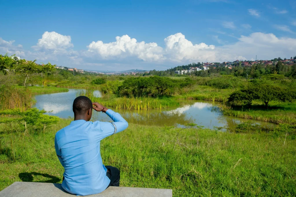 View of a man staring into the horizon of the wild.
