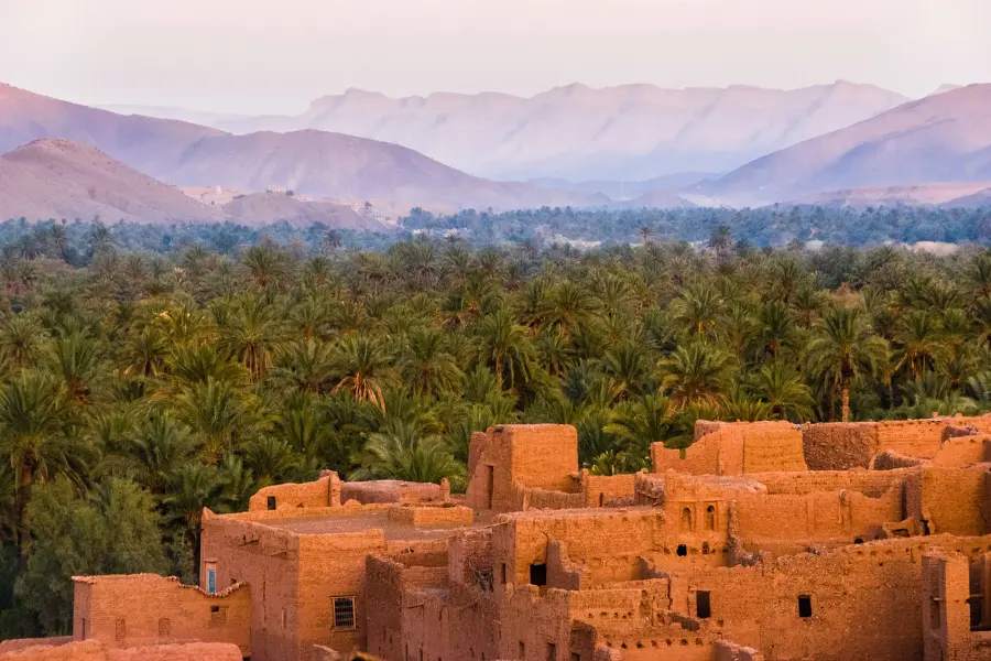 A vast palm oasis stretches across the landscape with mud-brick ruins in the foreground and hazy purple mountains in the background at sunset.