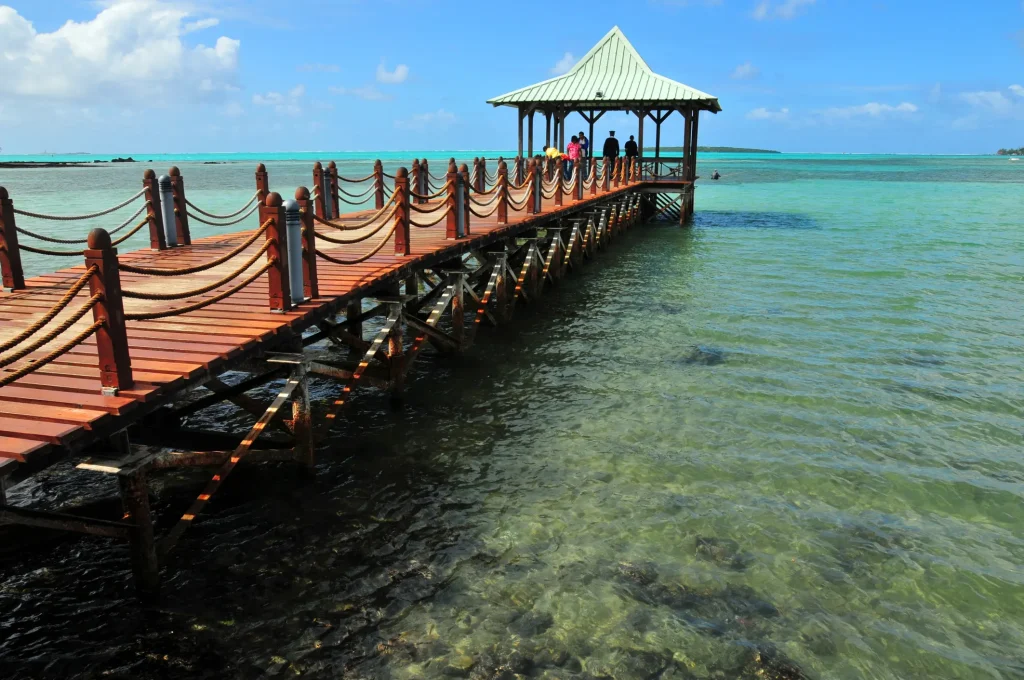 Tropical view of the oceanside