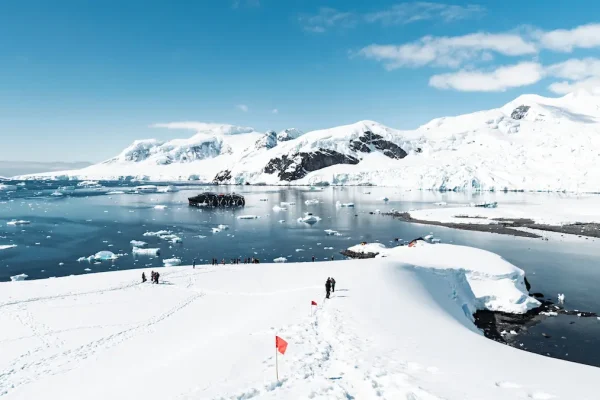 The Definitive Guide to Travel to Antarctica with Away&Co