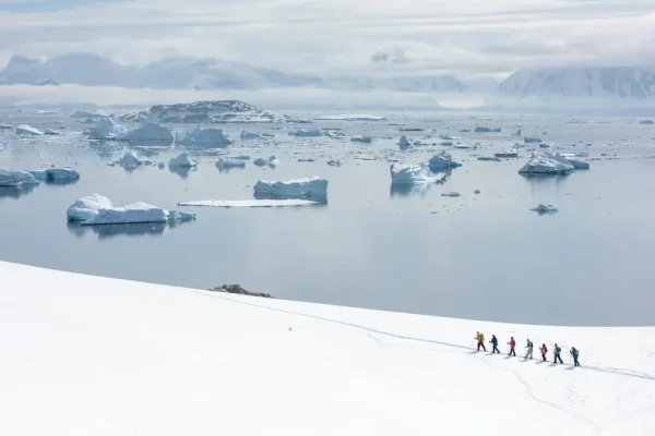 Why You Should Travel to Antarctica in 2026?
