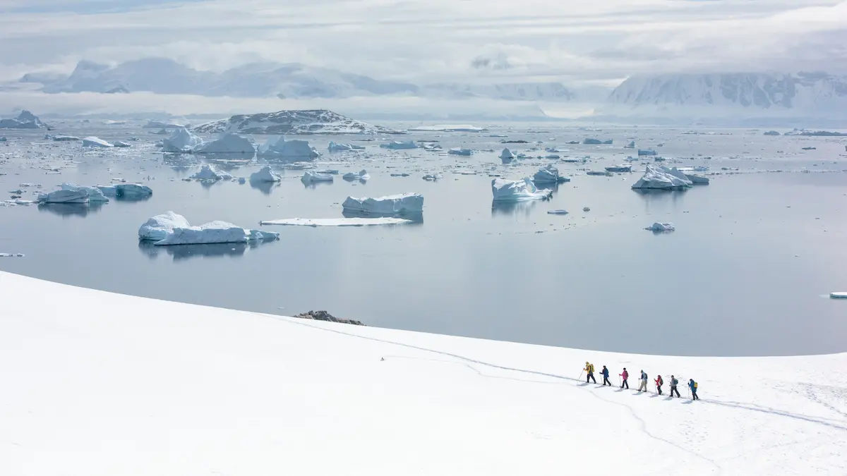 Read more about the article Why You Should Travel to Antarctica in 2026?