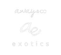 Away-Co-Exotics-logo-sm-removebg-preview